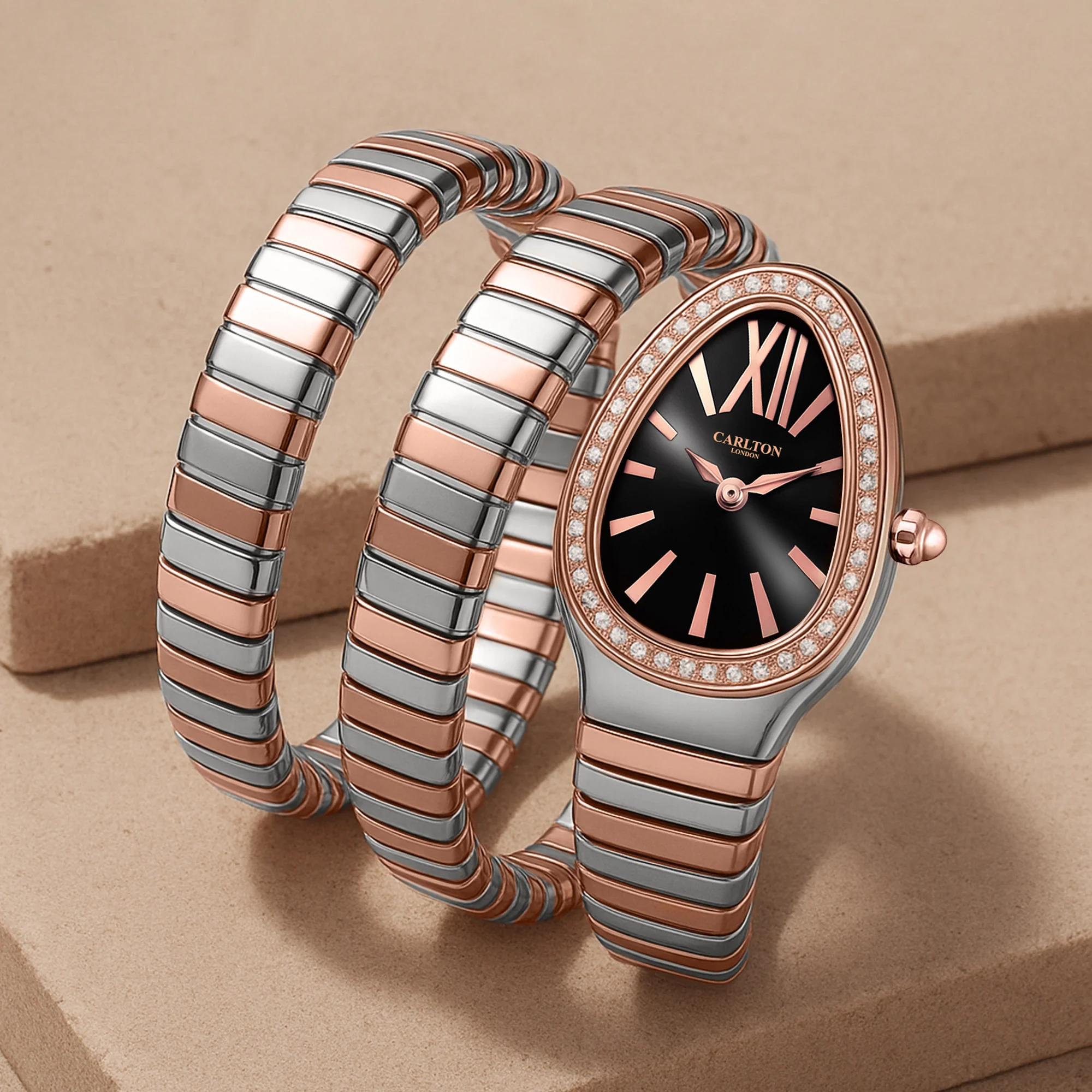 Charmer Women Black Dial Watch - CLW-SNK-A1BK - Image 4