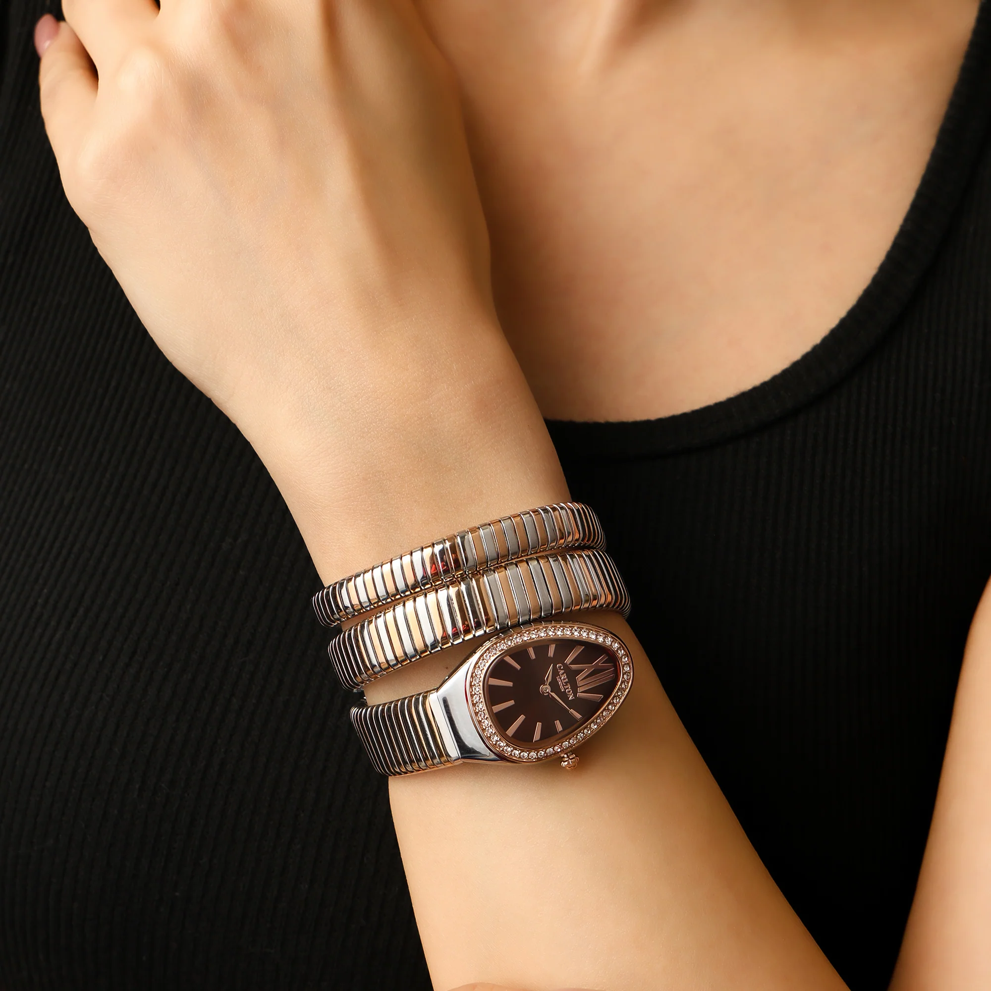 Charmer Women Brown Dial Watch - CLW-SNK-A4BR - Image 4